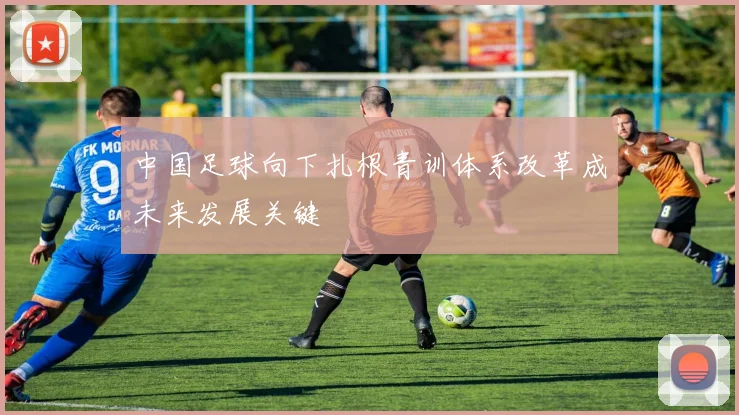 中国足球向下扎根青训体系改革成未来发展关键