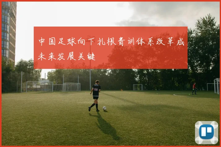 中国足球向下扎根青训体系改革成未来发展关键